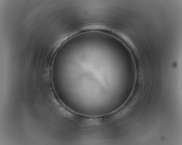 X0000093090937200709261226