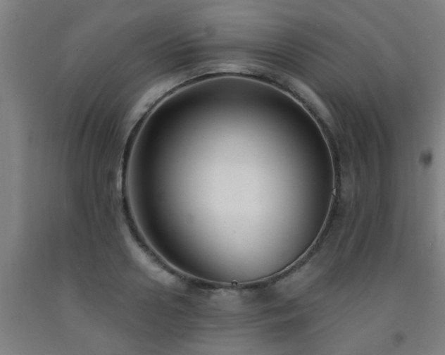 X0000093090938200709261226