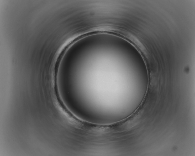 X0000093090939200709261226