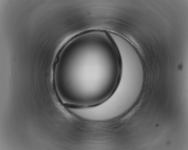X0000093090940200709261226