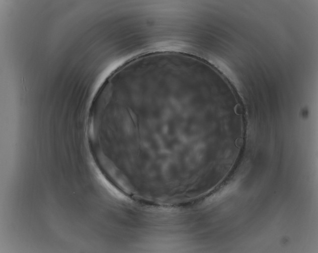 X0000093090941200709261226
