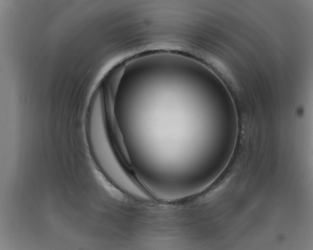 X0000093090942200709261226