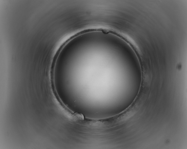 X0000093090943200709261226