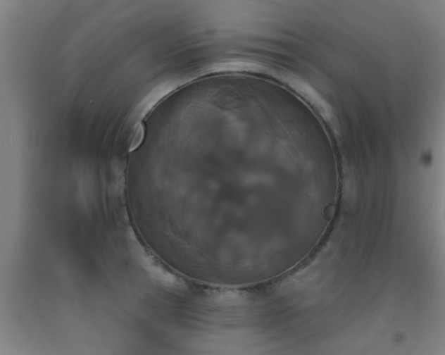 X0000093090945200709261226