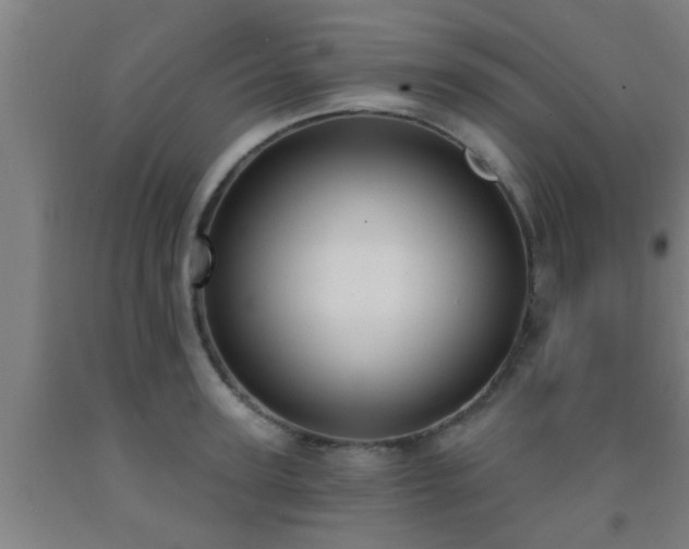 X0000093090947200709261226