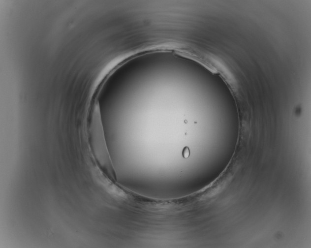 X0000093090948200709261226