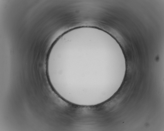 X0000093090950200709261226