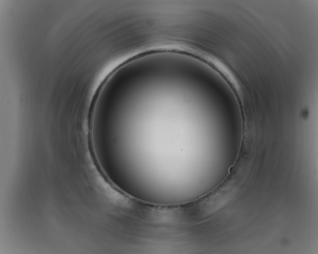 X0000093090951200709261226