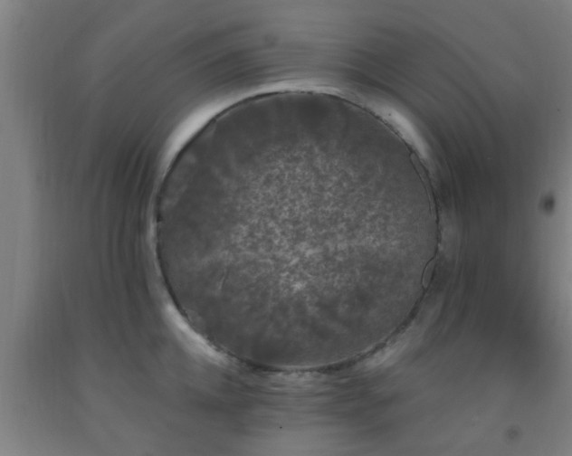 X0000093090952200709261226