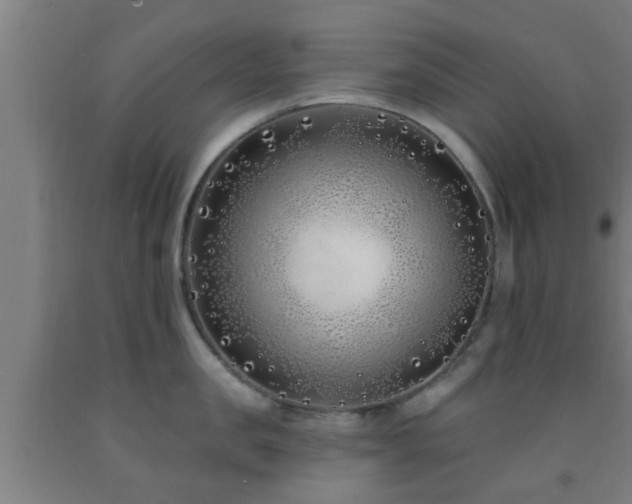 X0000093090957200709261226