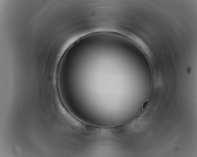 X0000093090958200709261226
