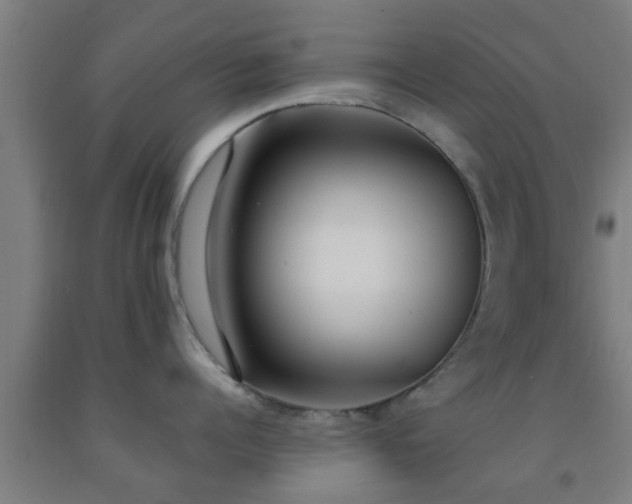 X0000093090960200709261226