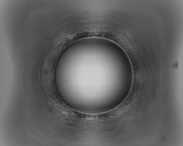 X0000093090961200709261225