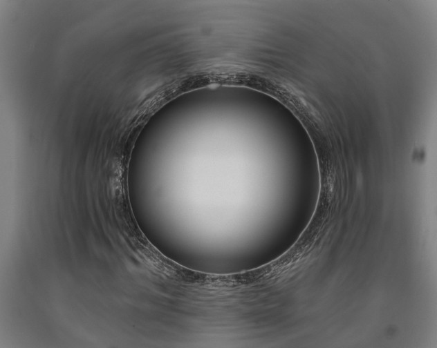 X0000093090964200709261225