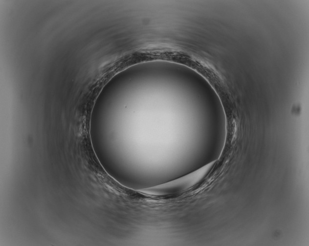 X0000093090965200709261225