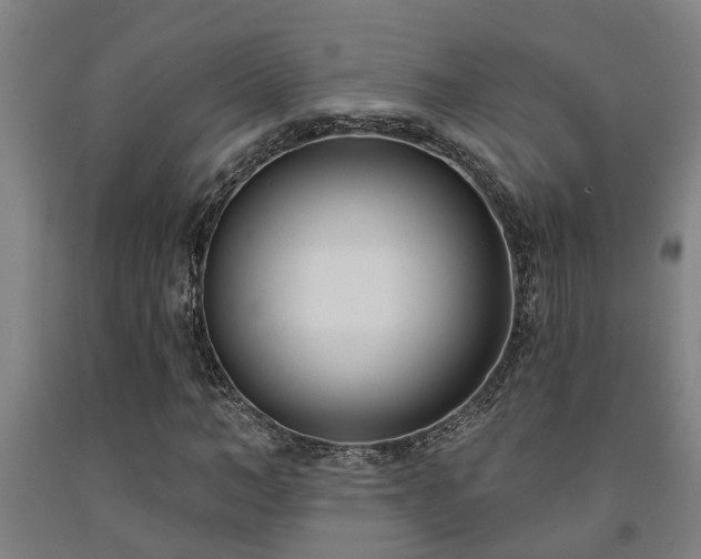 X0000093090966200709261225