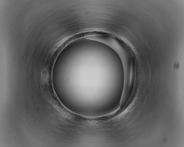 X0000093090969200709261225