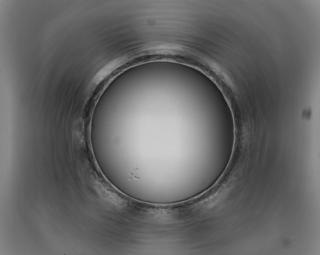 X0000093090970200709261225
