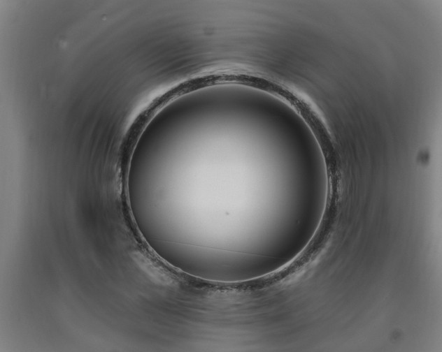 X0000093090973200709261225