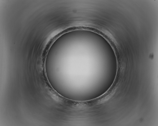 X0000093090974200709261225