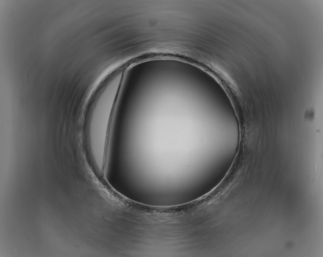 X0000093090976200709261225