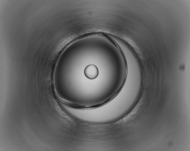 X0000093090977200709261225