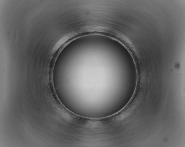 X0000093090978200709261225
