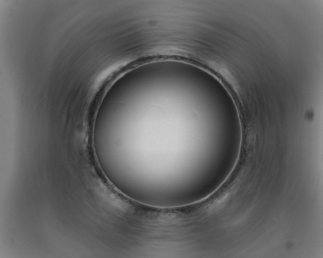 X0000093090979200709261225