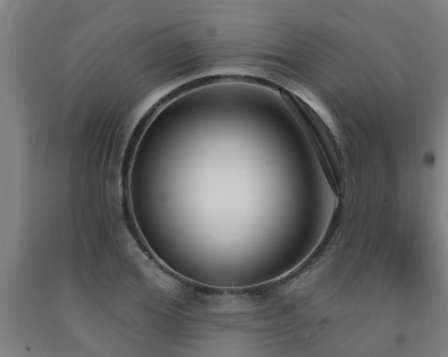 X0000093090980200709261225