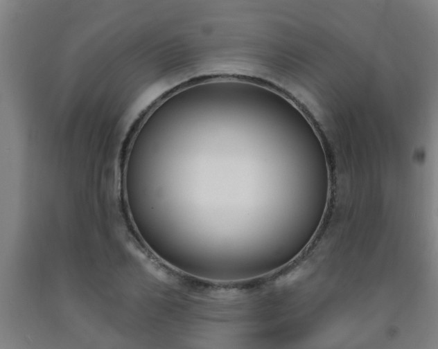 X0000093090982200709261225