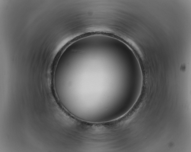X0000093090983200709261225