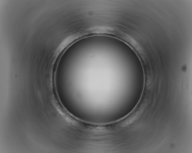 X0000093090986200709261225