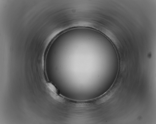 X0000093090988200709261225