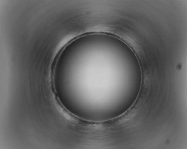 X0000093090990200709261225