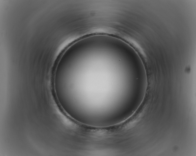 X0000093090991200709261225