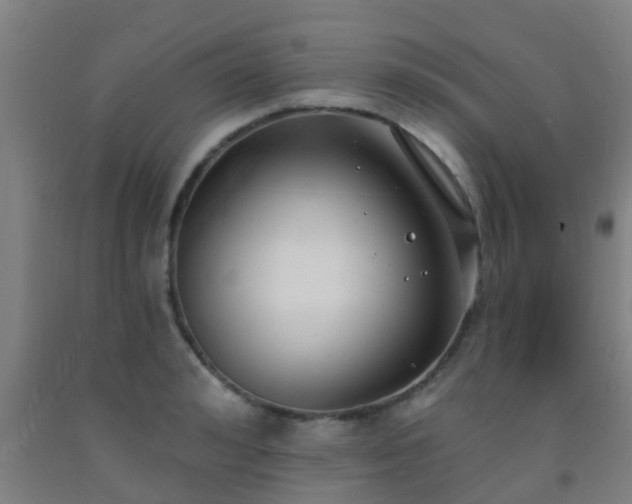 X0000093090992200709261225