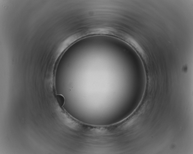 X0000093090994200709261225