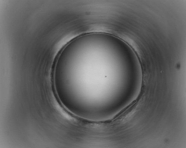 X0000093090995200709261225