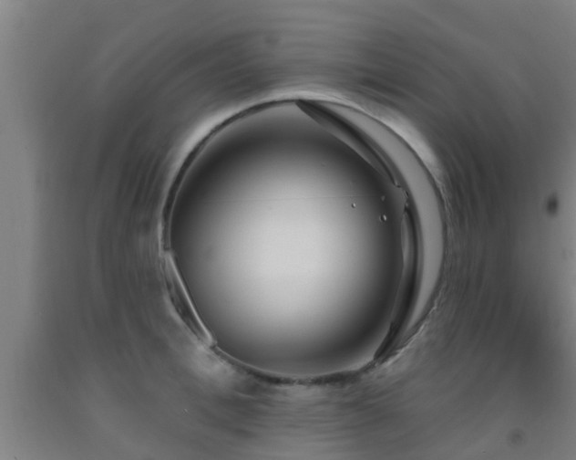 X0000093090996200709261225