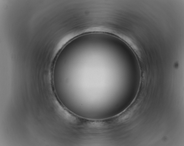 X0000093090998200709261225