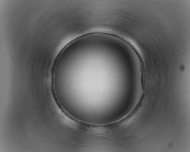 X0000093090999200709261225