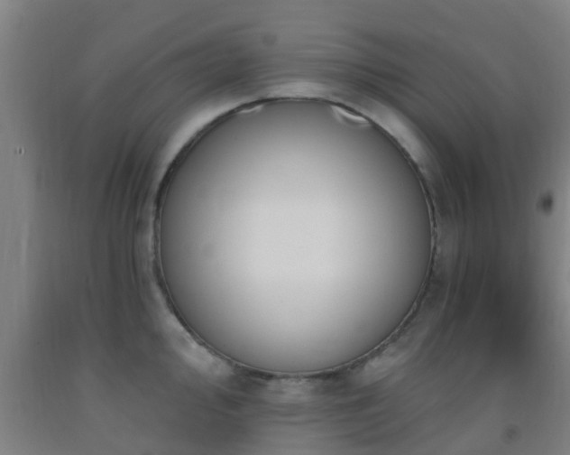 X0000093091000200709261225