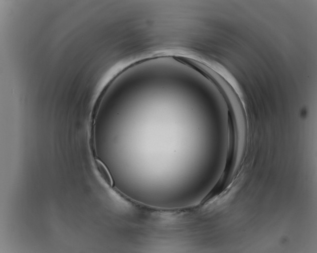 X0000093091005200709261225