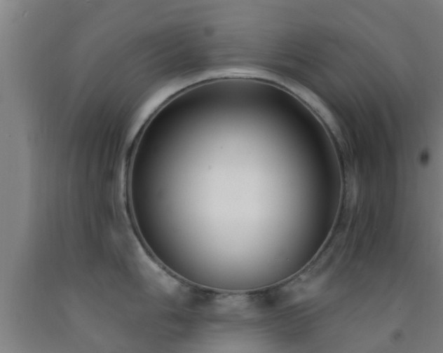 X0000093091006200709261225
