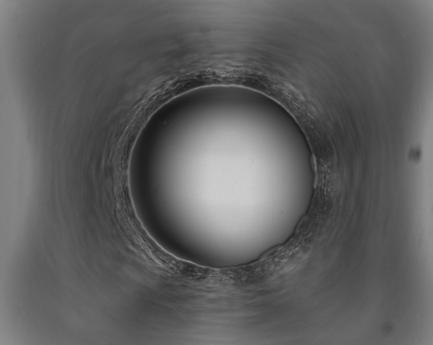 X0000093091009200709261224