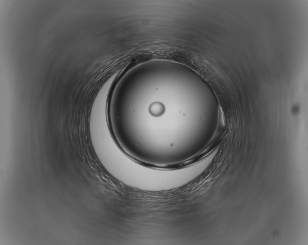 X0000093091010200709261224