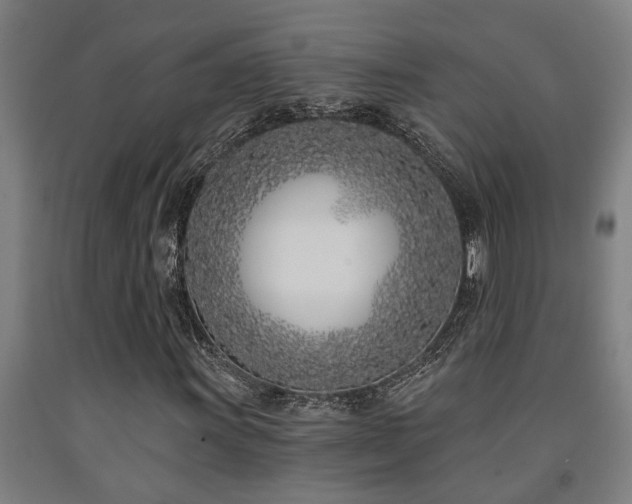 X0000093091011200709261224