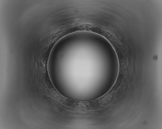 X0000093091013200709261224