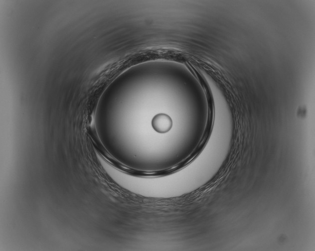X0000093091014200709261224
