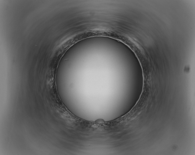 X0000093091015200709261224